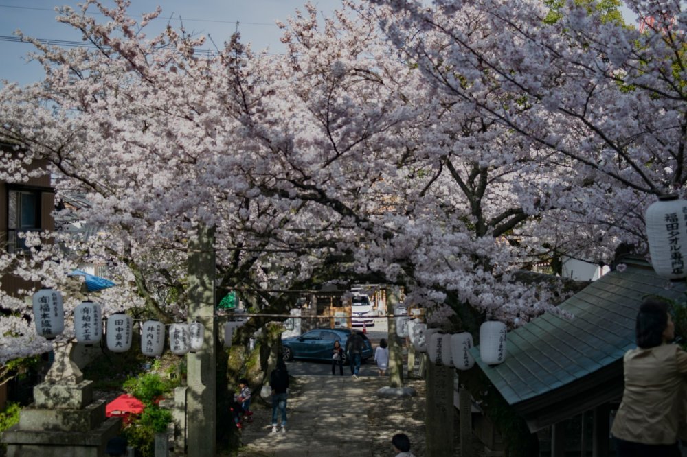 ⛩️ 카스가 신사 (비잔초) 이미지 6